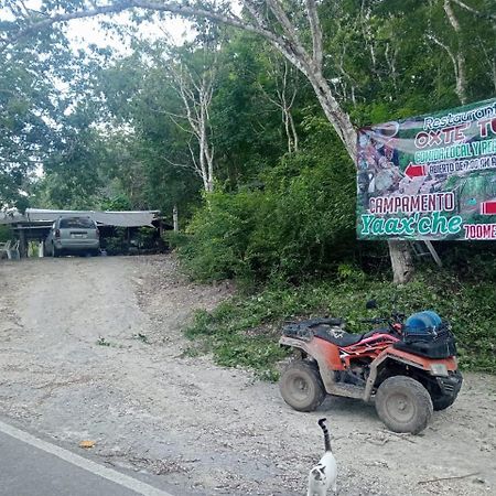 Campamento Yaax Che En Calakmul Conhuas Екстериор снимка