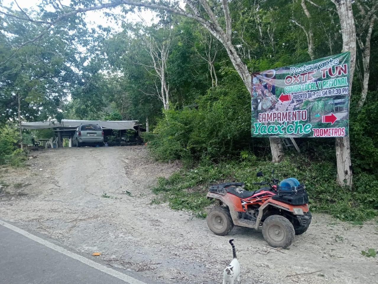 Campamento Yaax Che En Calakmul Conhuas Екстериор снимка