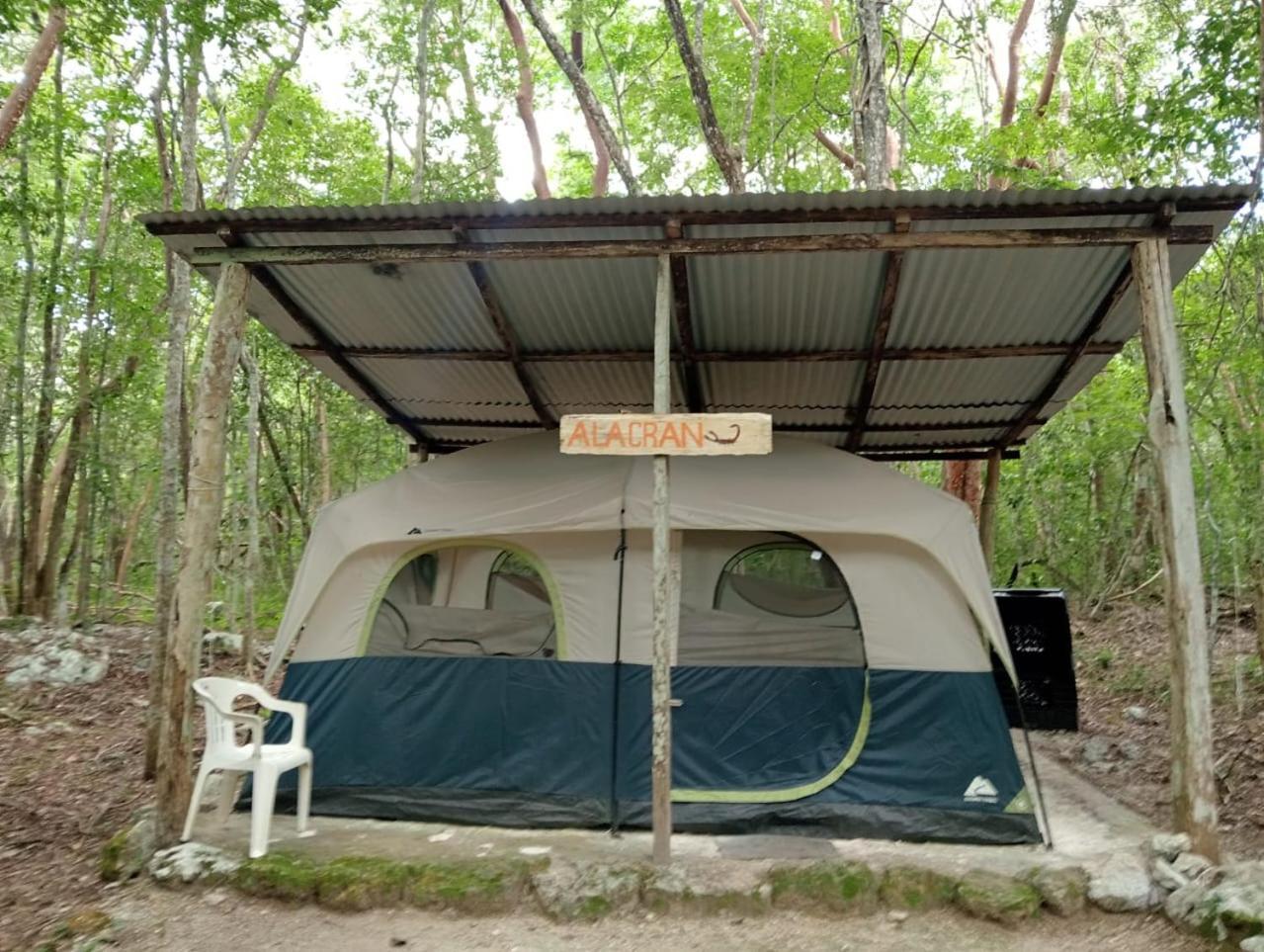 Campamento Yaax Che En Calakmul Conhuas Стая снимка