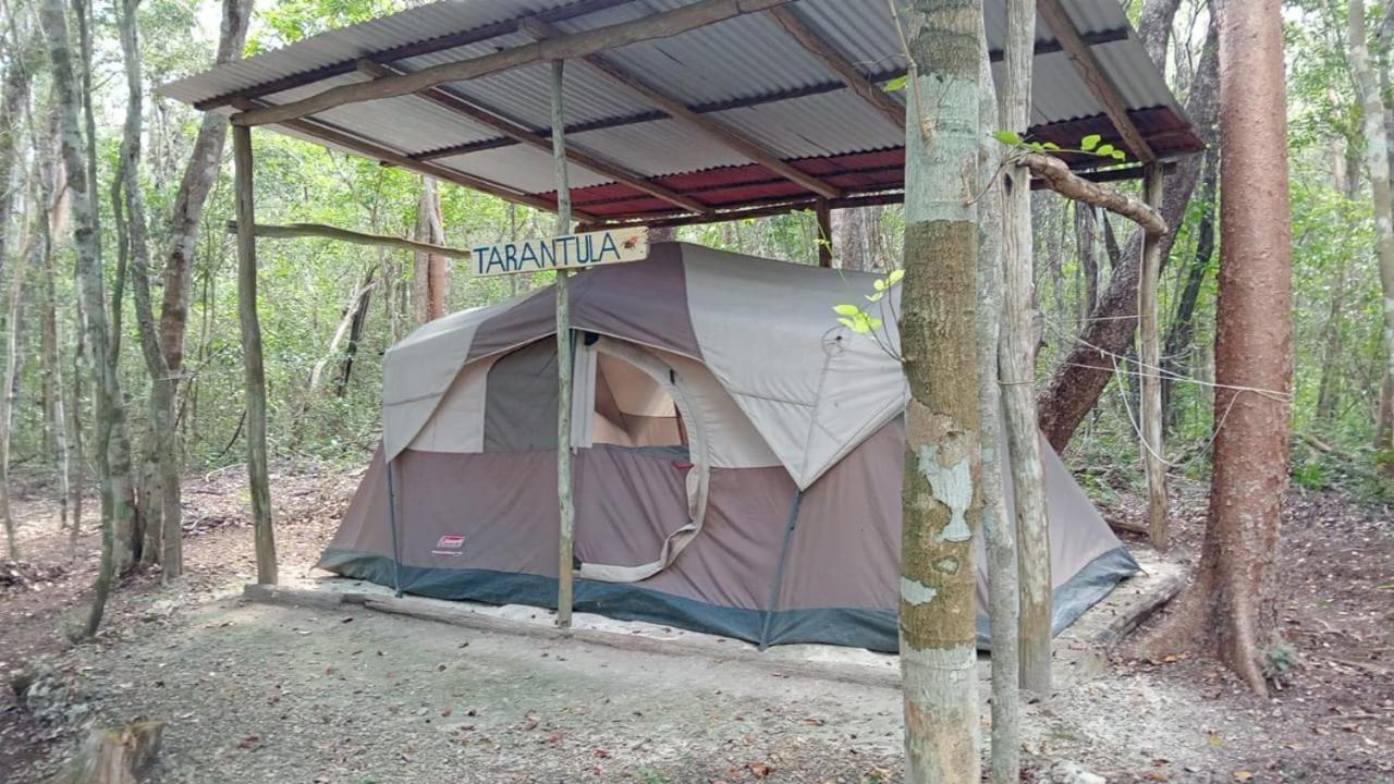 Campamento Yaax Che En Calakmul Conhuas Стая снимка