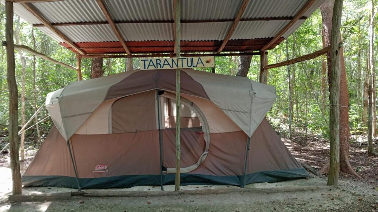 Campamento Yaax Che En Calakmul Conhuas Стая снимка