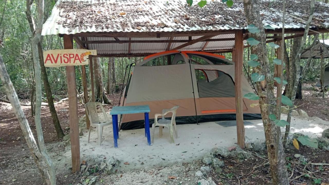 Campamento Yaax Che En Calakmul Conhuas Стая снимка