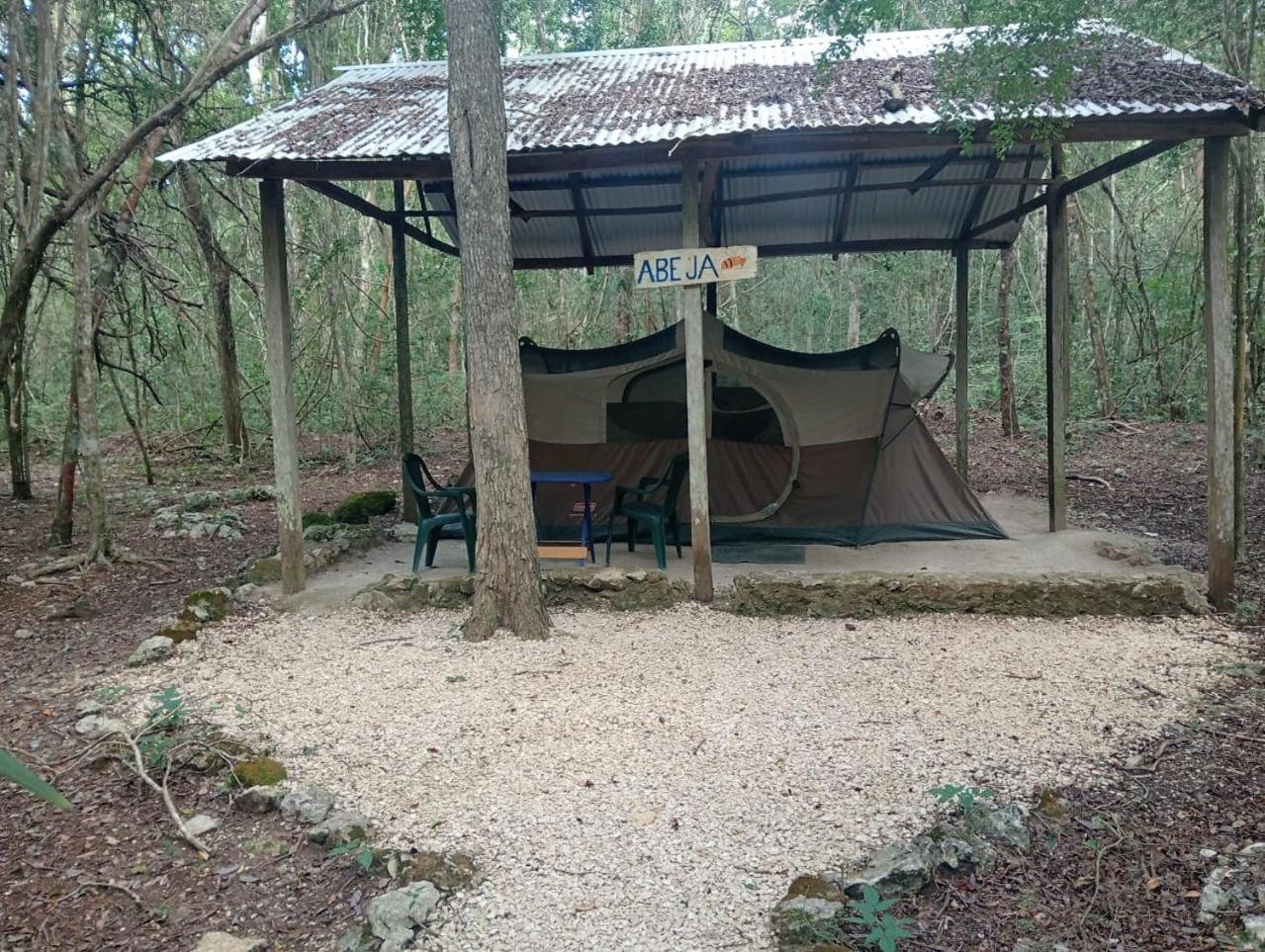 Campamento Yaax Che En Calakmul Conhuas Екстериор снимка