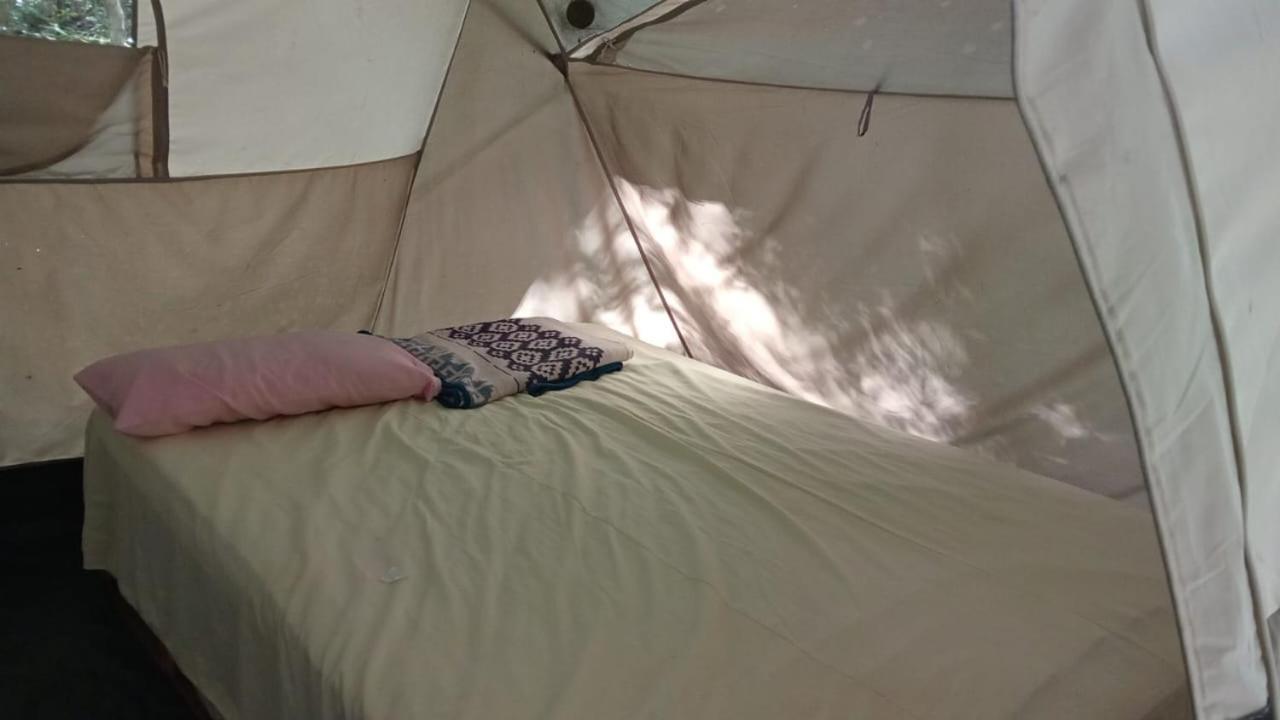 Campamento Yaax Che En Calakmul Conhuas Стая снимка