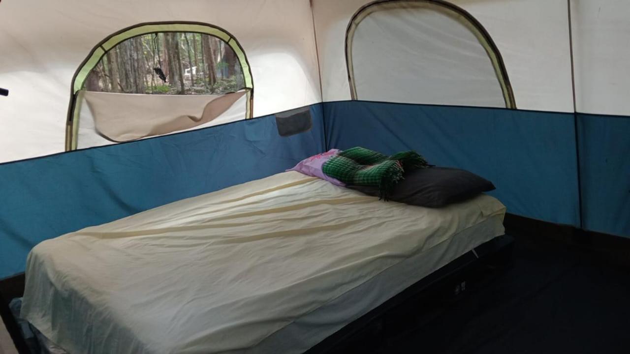 Campamento Yaax Che En Calakmul Conhuas Стая снимка