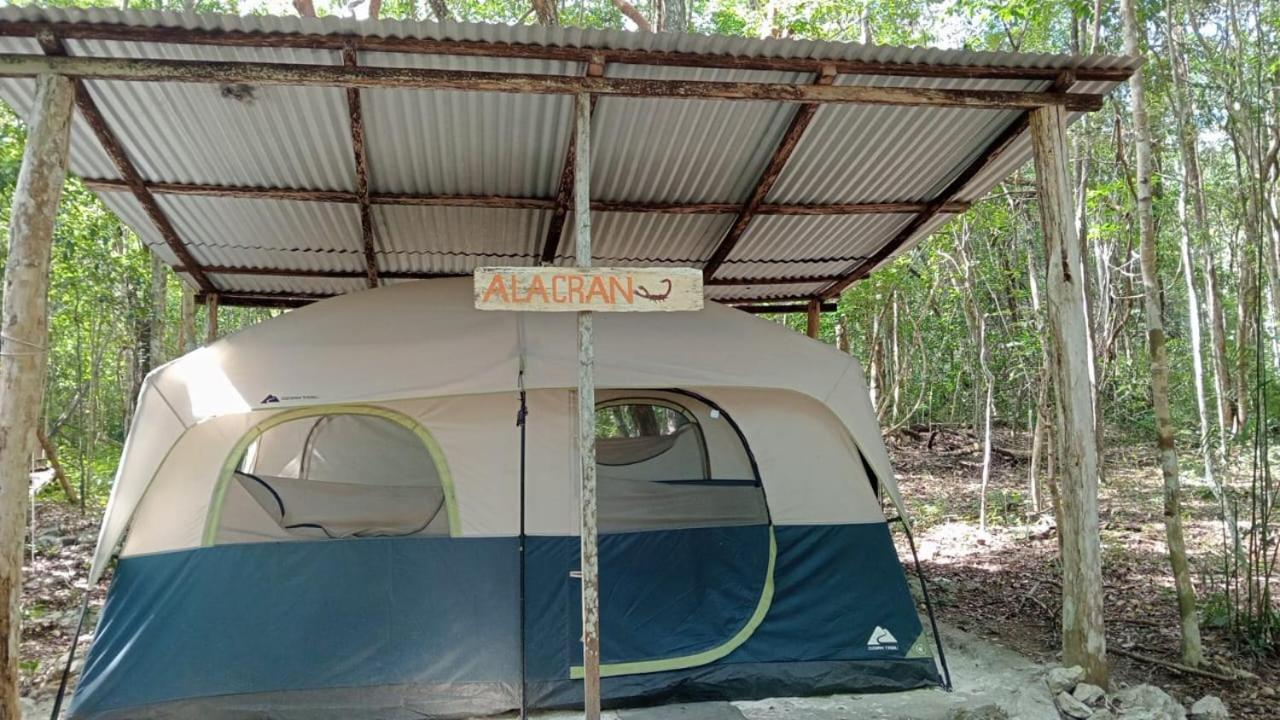 Campamento Yaax Che En Calakmul Conhuas Стая снимка