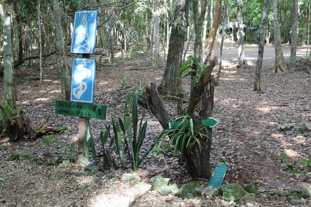 Campamento Yaax Che En Calakmul Conhuas Екстериор снимка