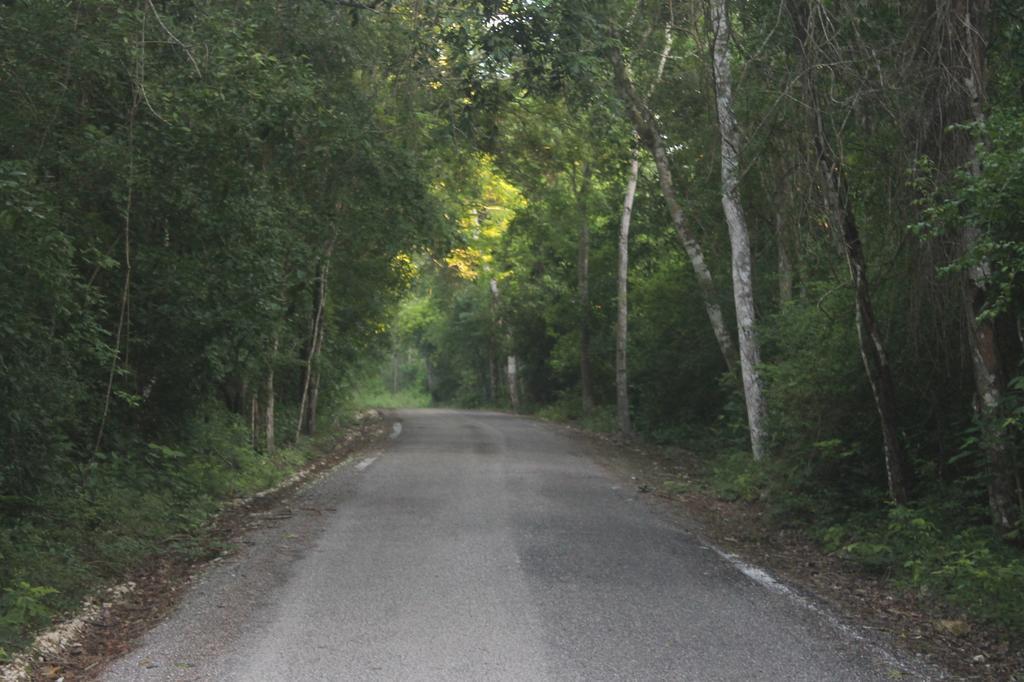 Campamento Yaax Che En Calakmul Conhuas Екстериор снимка