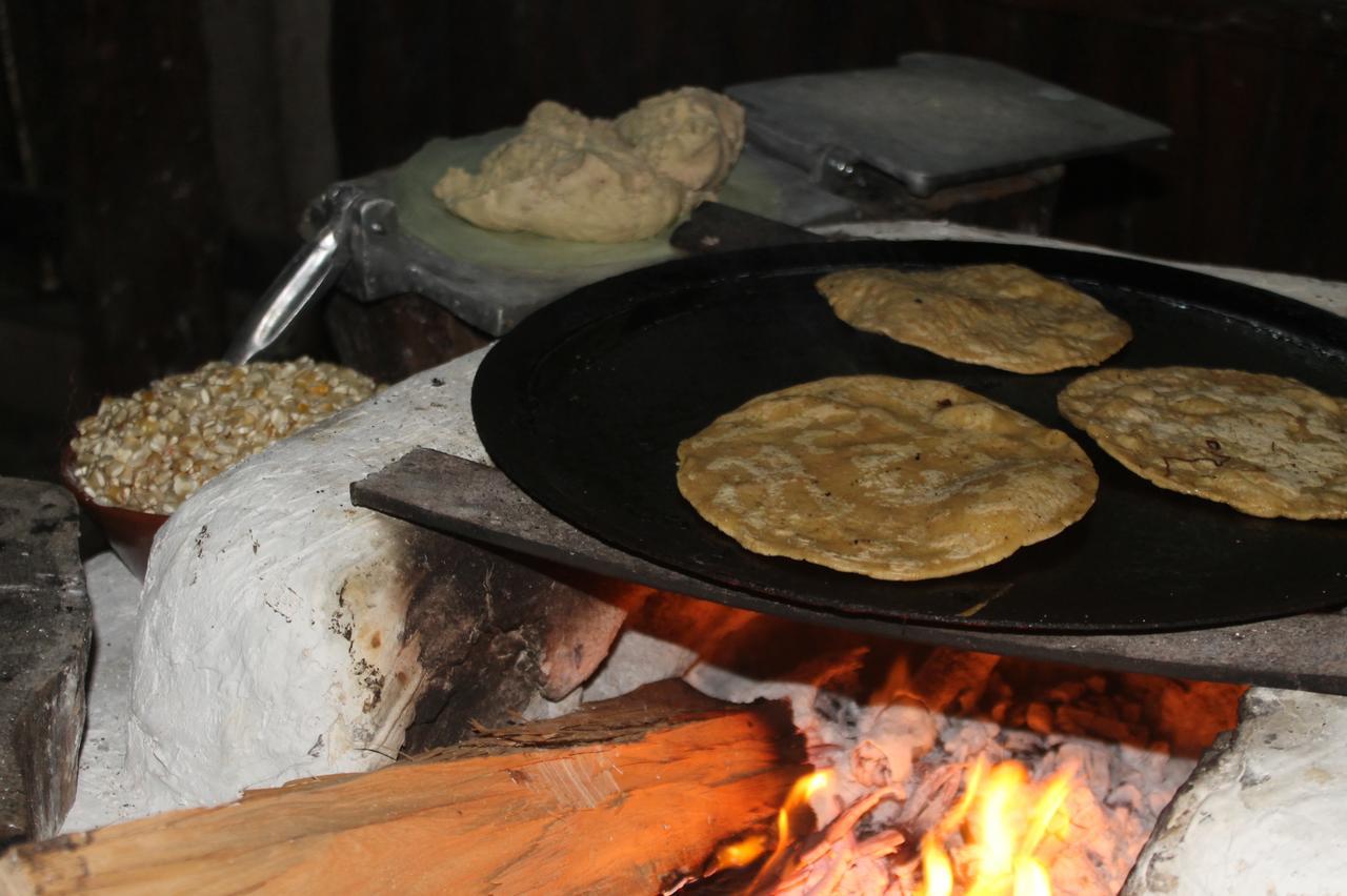 Campamento Yaax Che En Calakmul Conhuas Екстериор снимка