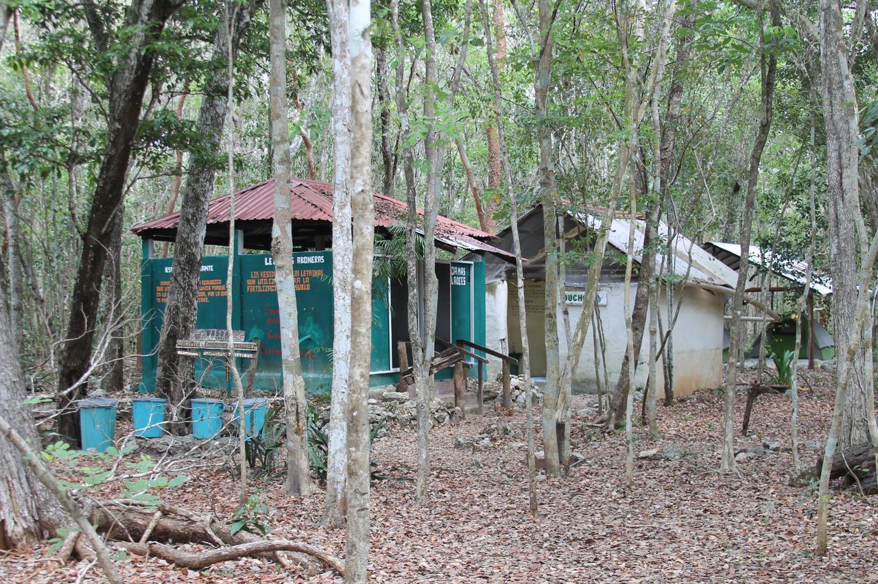 Campamento Yaax Che En Calakmul Conhuas Екстериор снимка